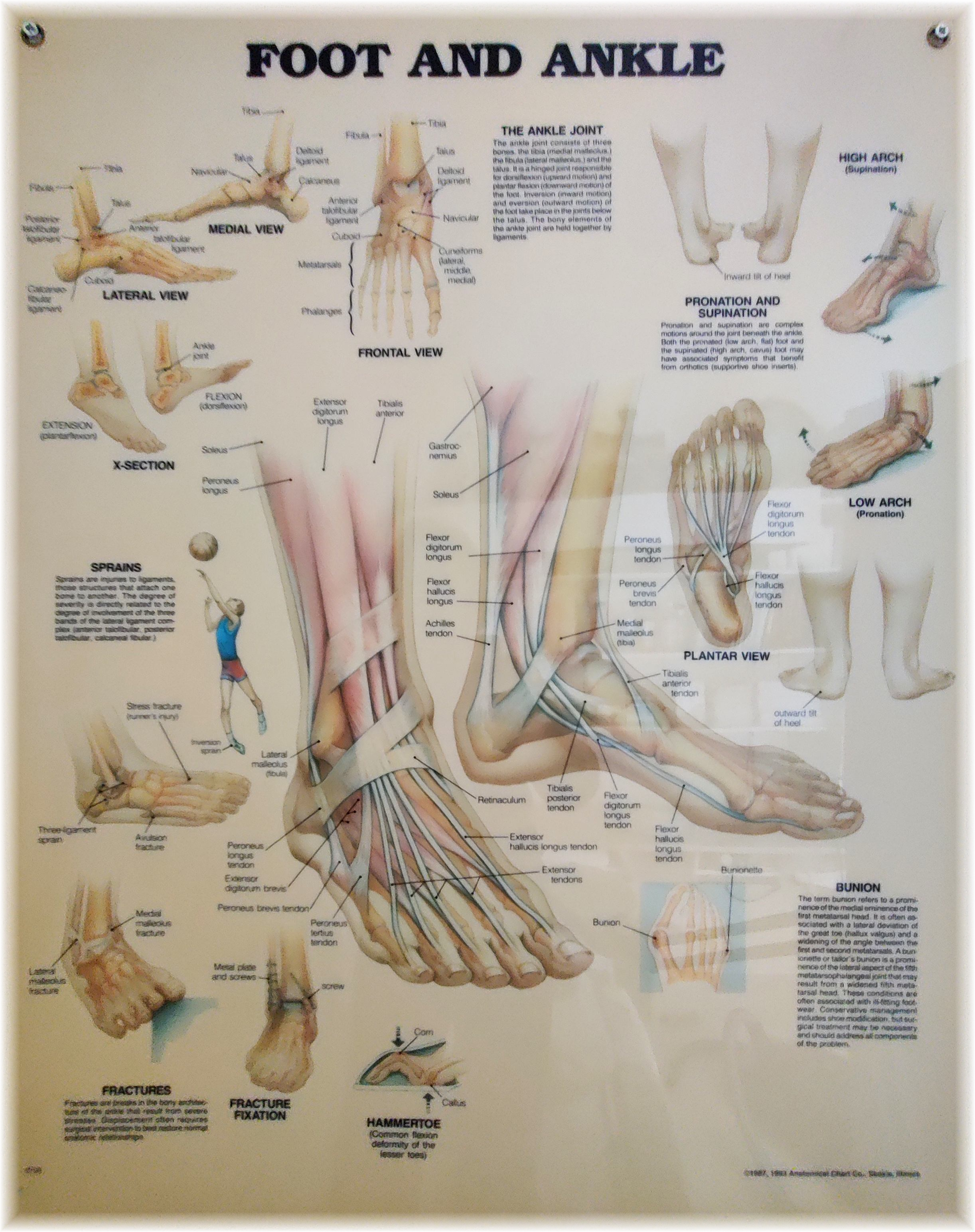 Aan het werk Aan het werk